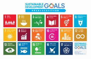 sdg_icon